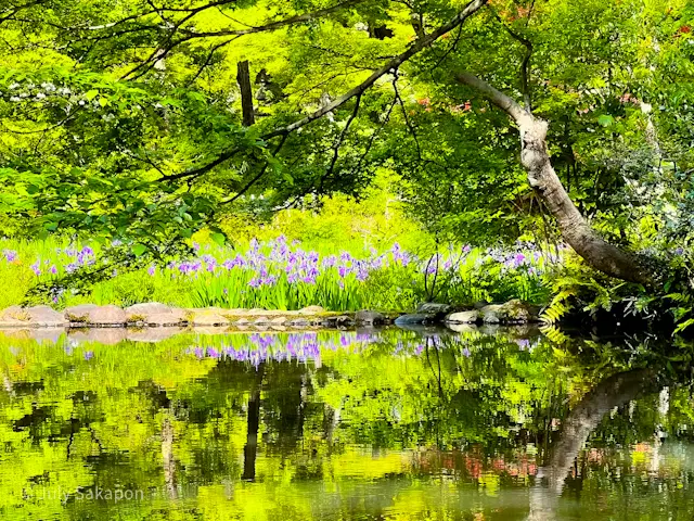 一礼に全てを表す【根津美術館】@表参道の画像_4