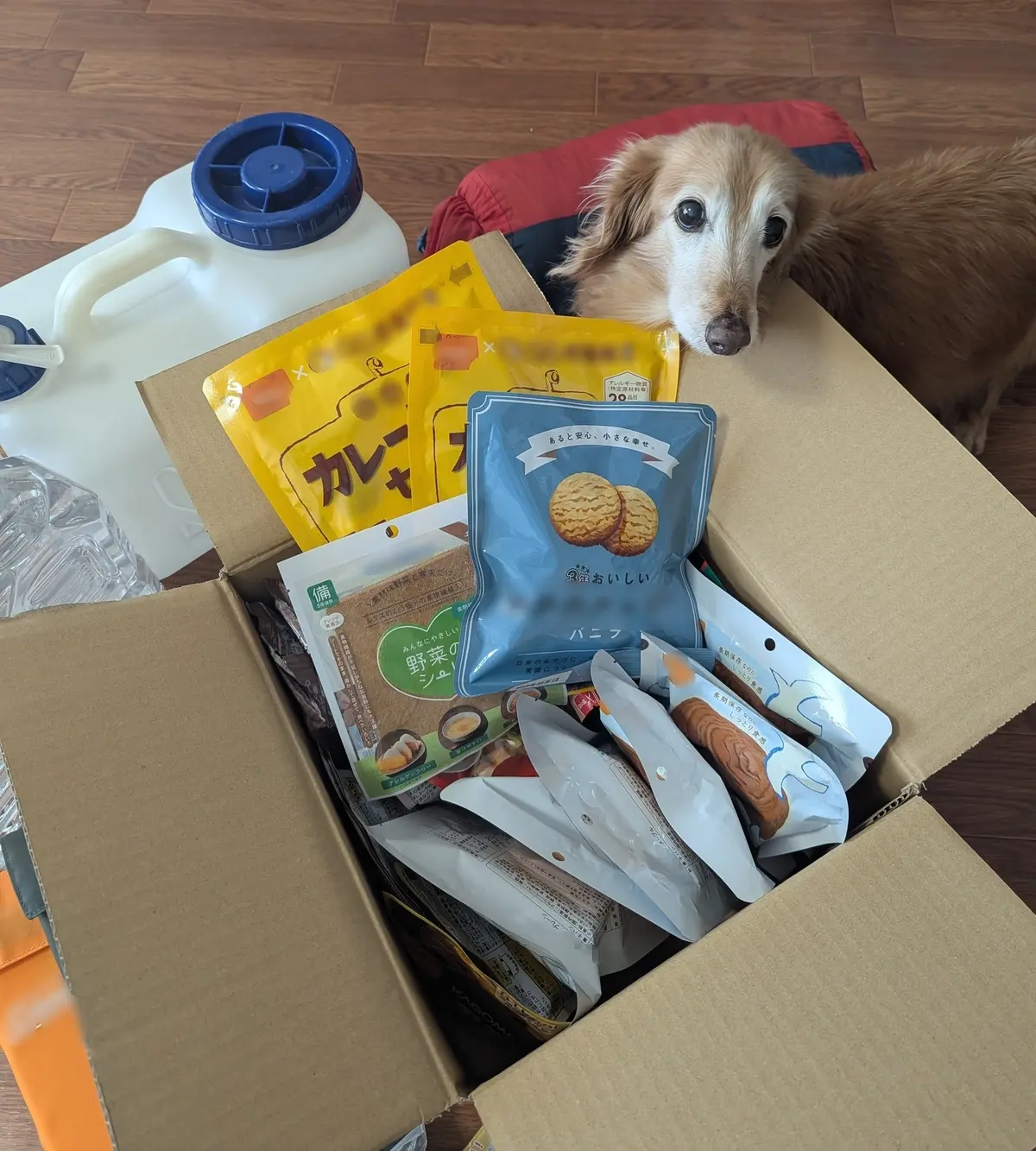 30年目の1/17は、静かに過ごすの画像_3