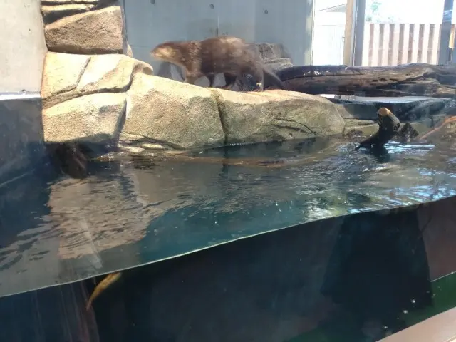 神戸　新感覚の都市型水族館アトアへの画像_6