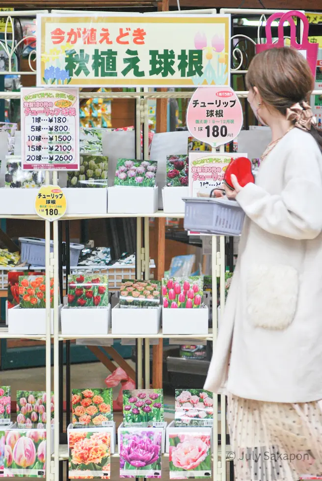 【さかぽんの冒険】秋バラの香りを探して♡の画像_10