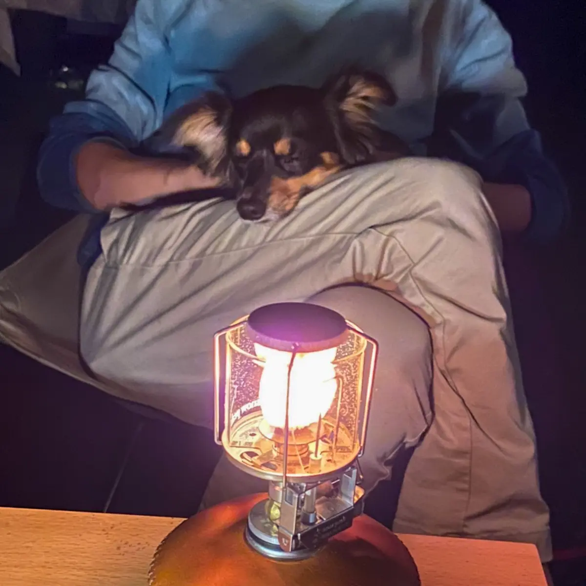 おすすめ！愛犬とのキャンプ♪の画像_2