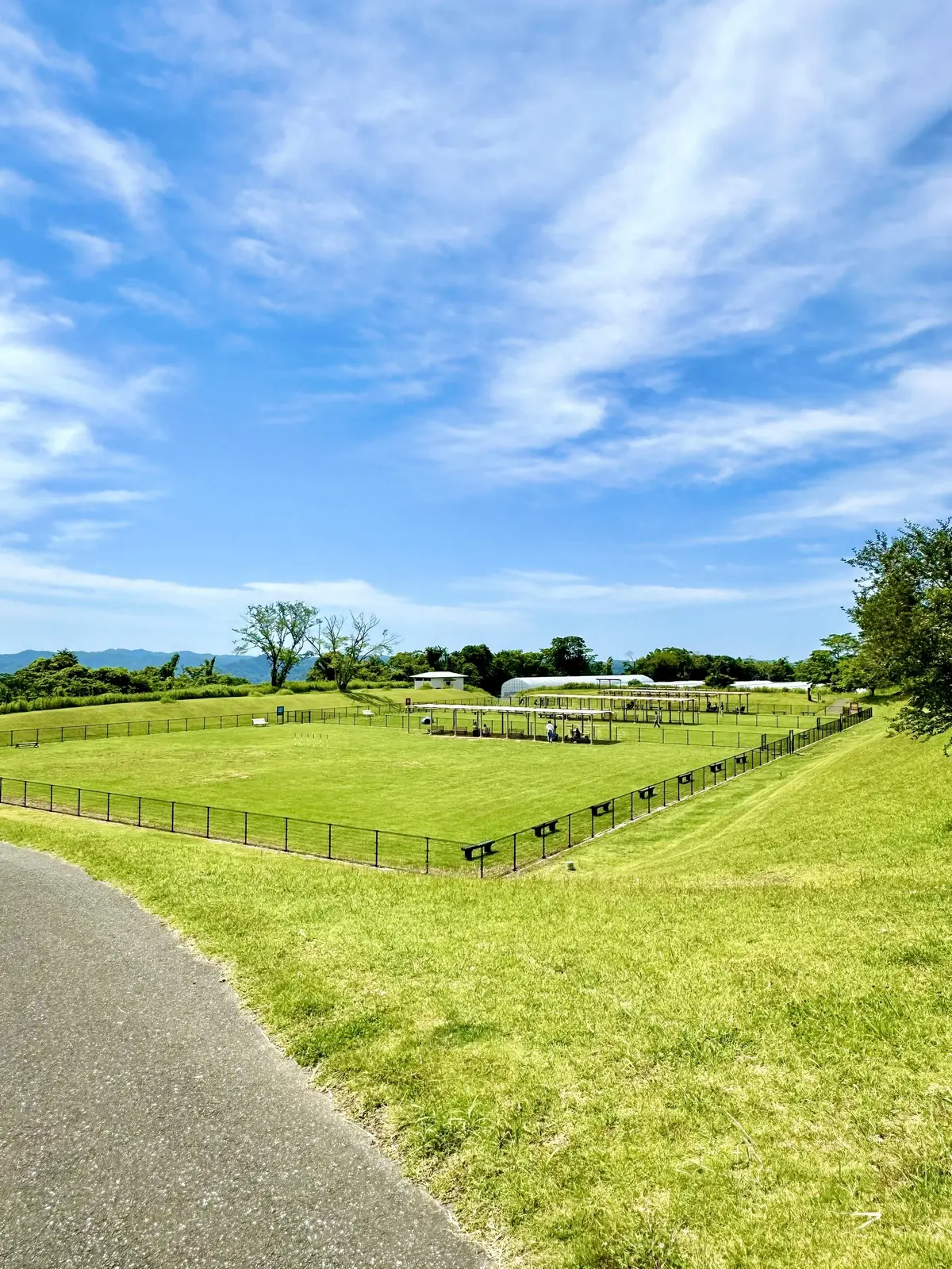 GUデニムで初夏の景色を楽しむお散歩へ♪の画像_10