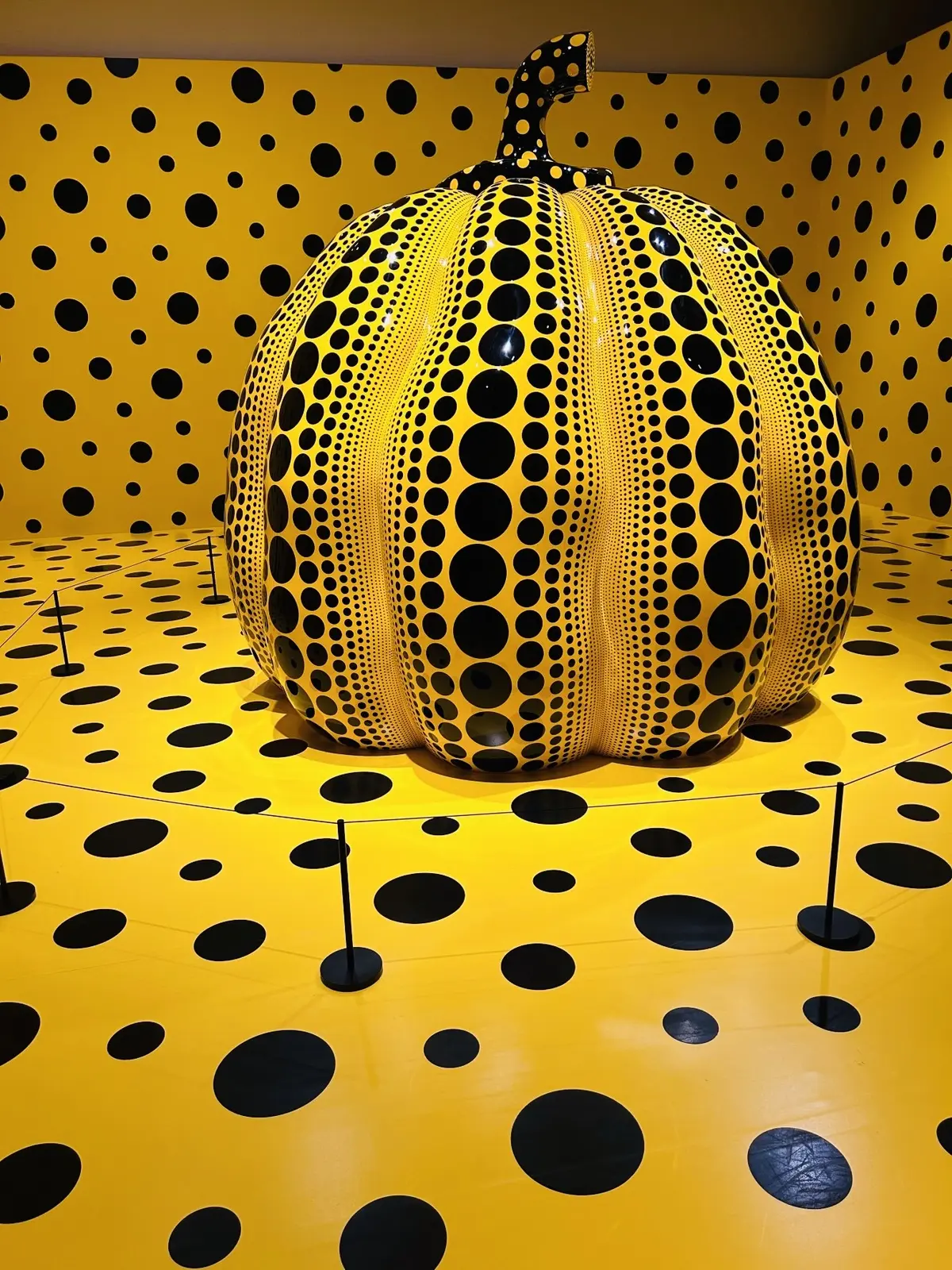 大いなる南瓜　2017年