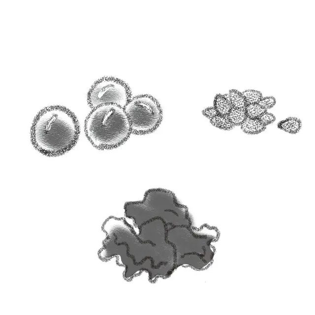 黒い食材（黒豆、黒ごま、黒きくらげなど）