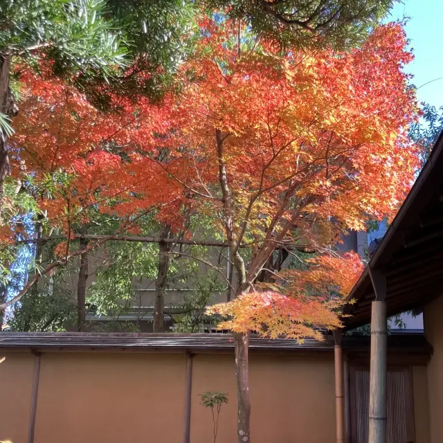 鎌倉穴場の紅葉スポットの画像_2