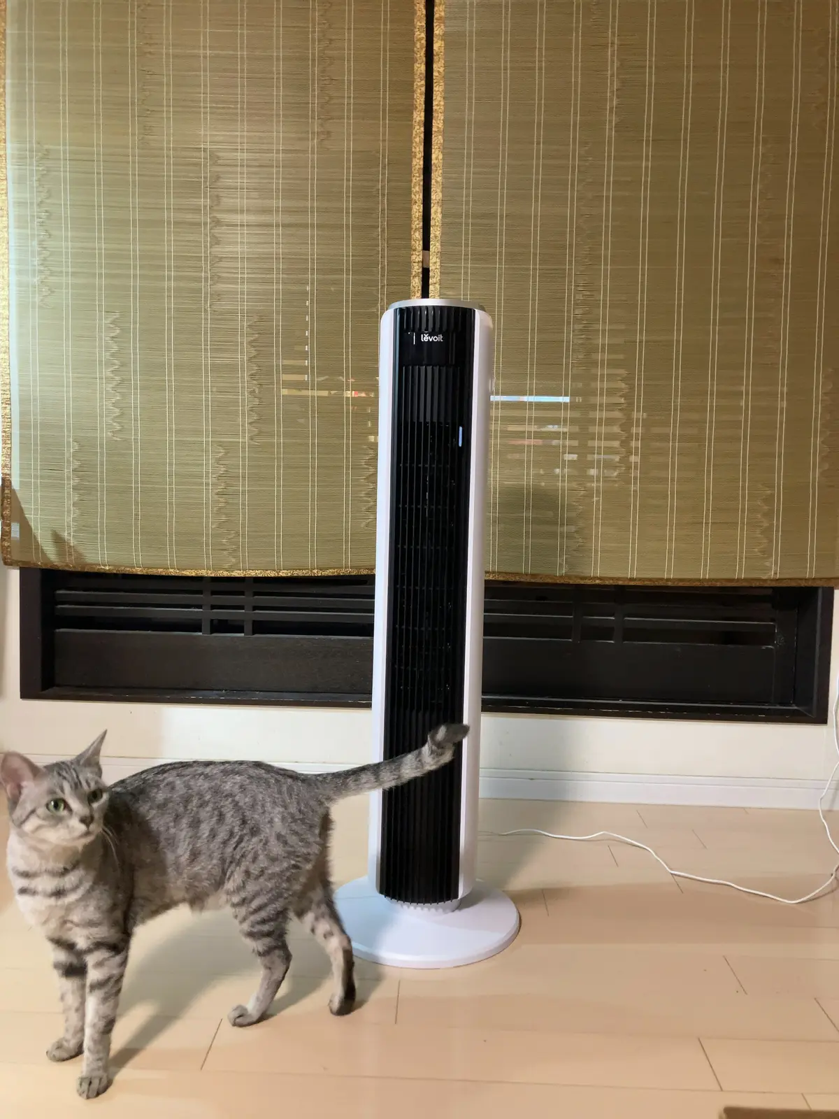 寝ている間にきれいに「美容睡眠」梅雨の寝の画像_1