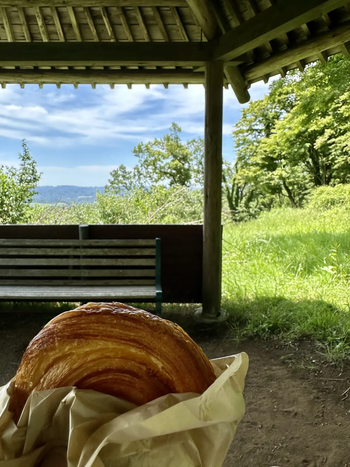 GUデニムで初夏の景色を楽しむお散歩へ♪の画像_16