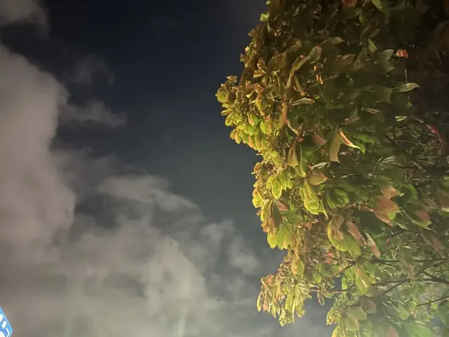 大好きなみなさんに囲まれてしあわせなひとの画像_9