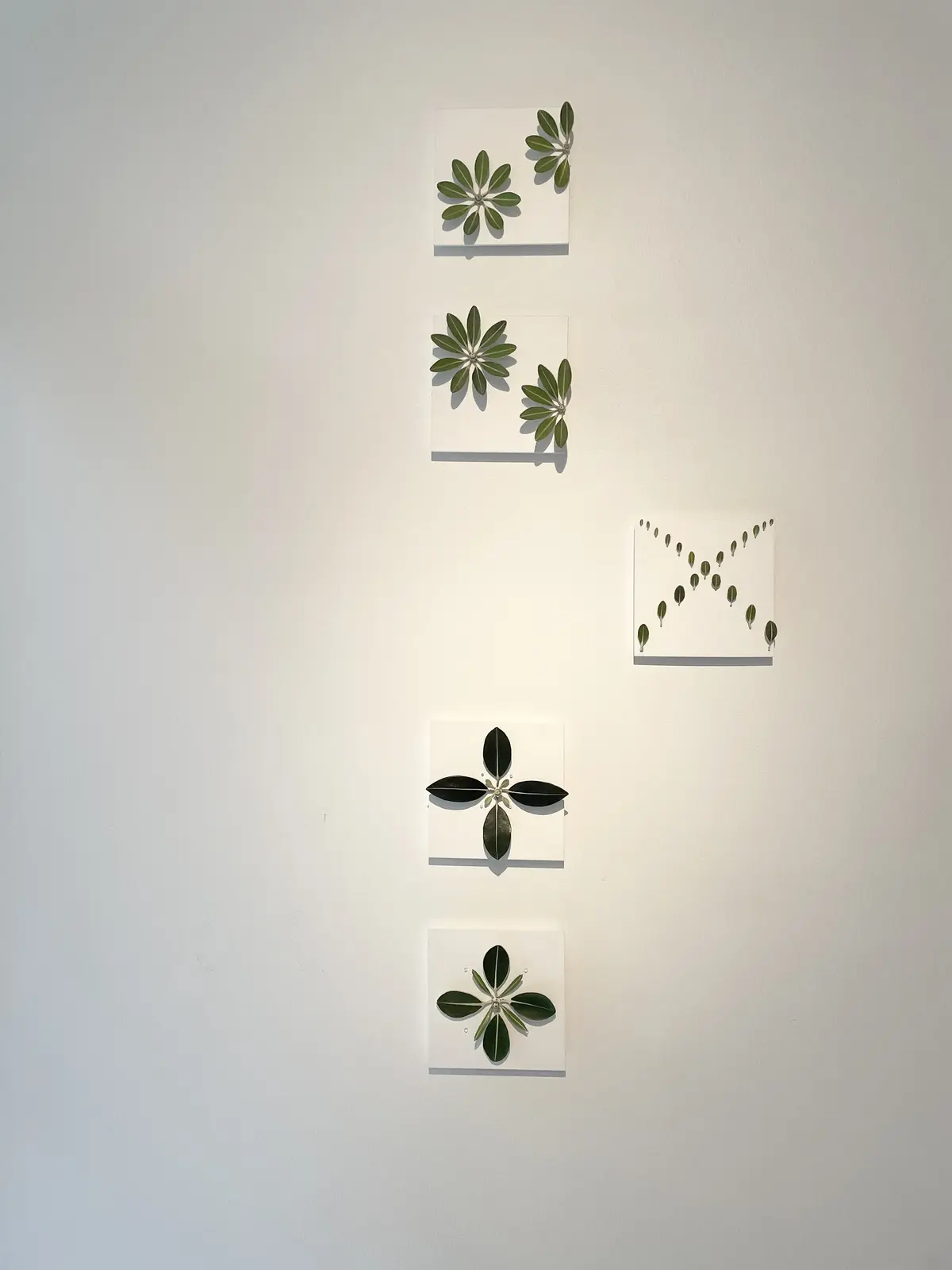 9月14日新発売のエイジングケア商品も。の画像_17