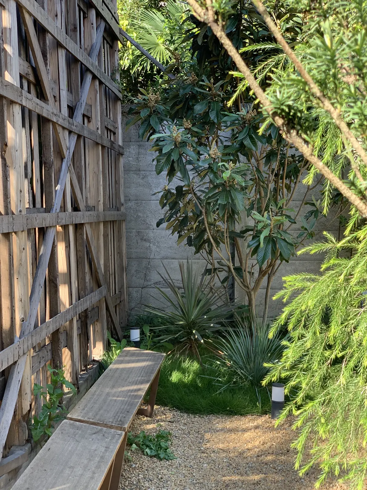 パンとエスプレッソと　由比ヶ浜店　鎌倉カフェ　古民家カフェ