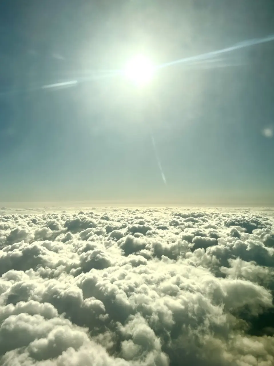 空から見える景色