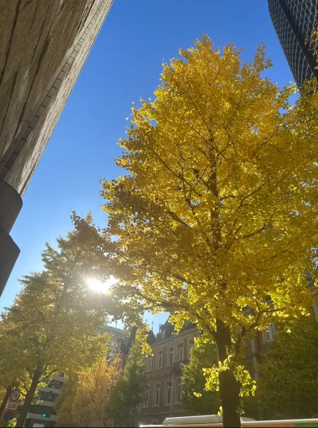 東京ミッドタウン巡り。の画像_6