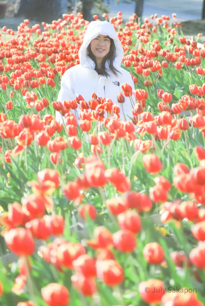 【さかぽんの冒険】アイスチューリップ@ふの画像_3