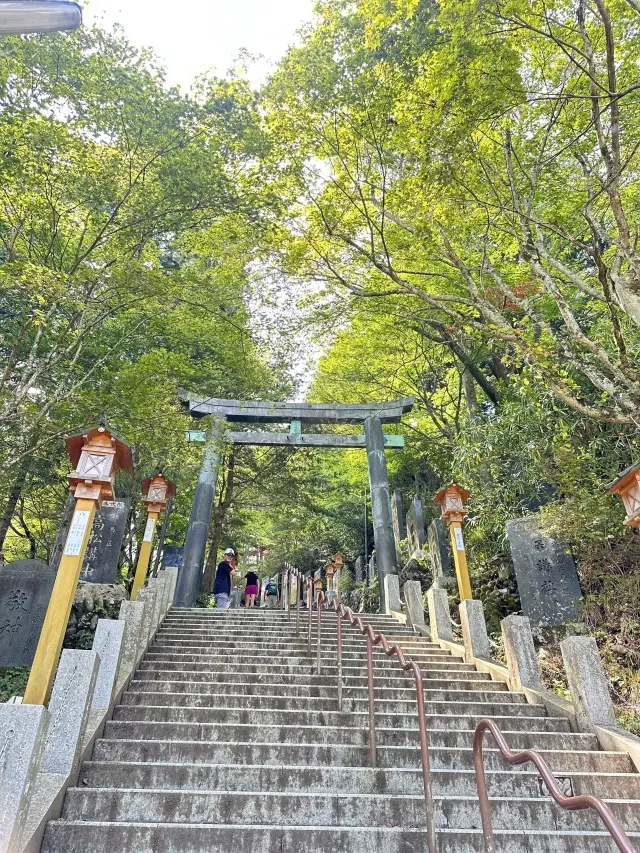 奥多摩プチトリップの画像_11