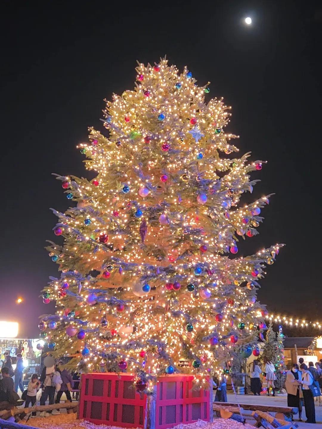 横浜で過ごす、光と味わいのひととき♡の画像_2