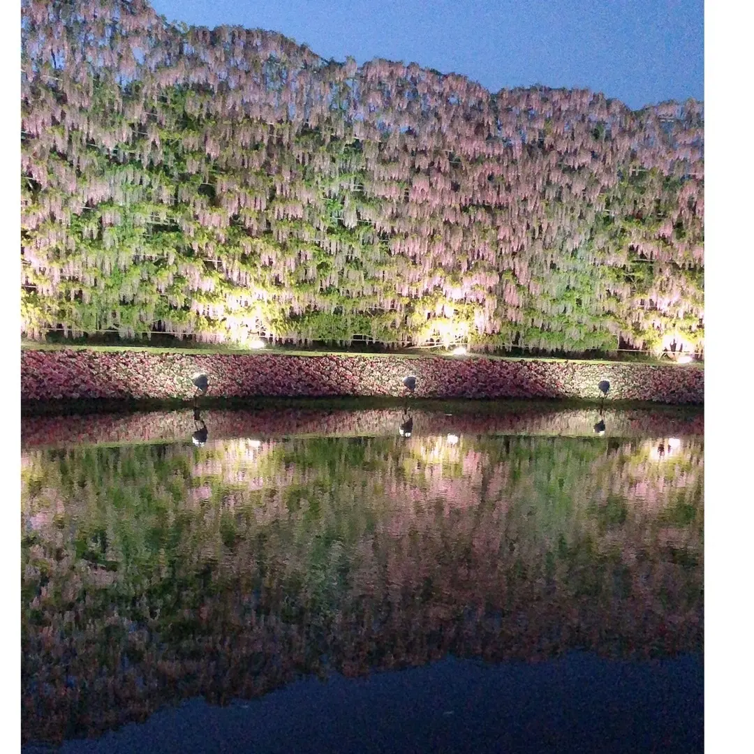 世界夢の旅行先ベスト10の画像_2