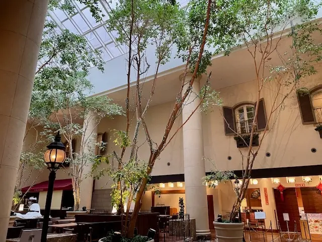 久しぶりの再会ランチは、オリエンタルホテの画像_2