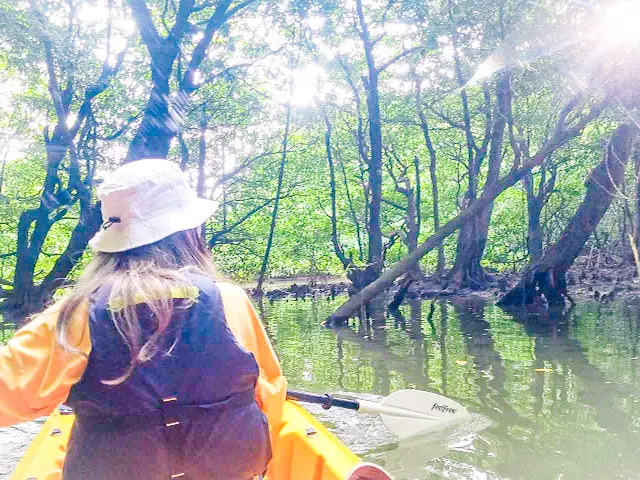 【さかぽんの冒険♪Vol.2】竹富島&石の画像_2