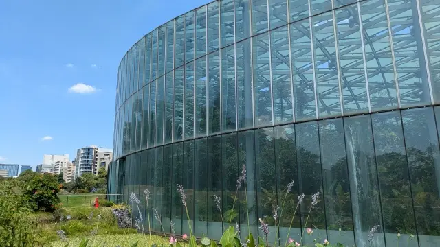 新宿御苑　千駄ヶ谷門　木漏れ日　芝生広場　プラタナス並木　温室ユリノキ　ひと休み　スターバックス