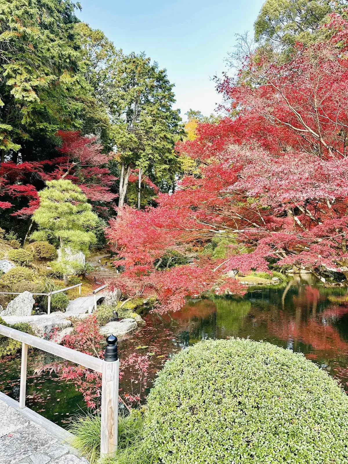 ずっと眺めていたくなる♡美しい京都紅葉2の画像_13