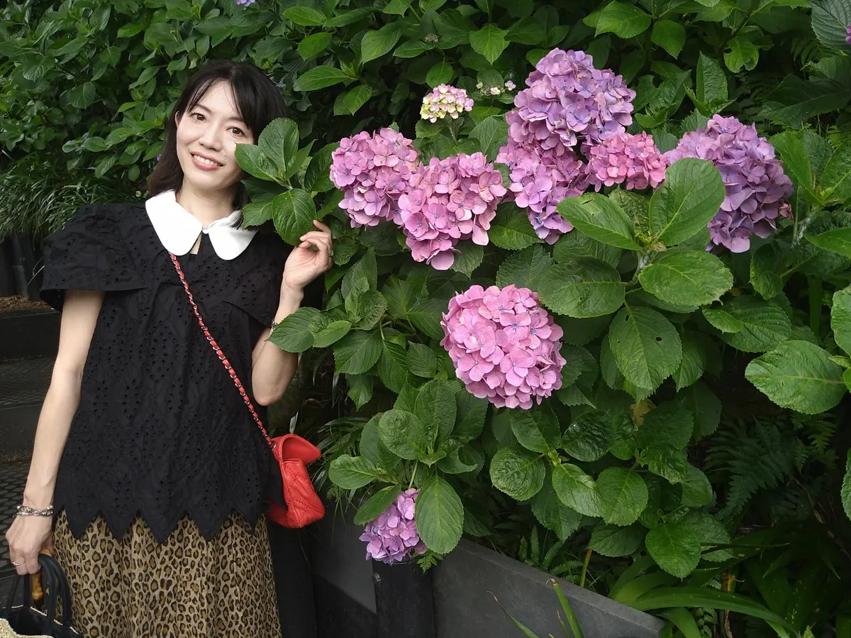 〈鎌倉〉紫陽花とランチとクリームソーダとの画像_12