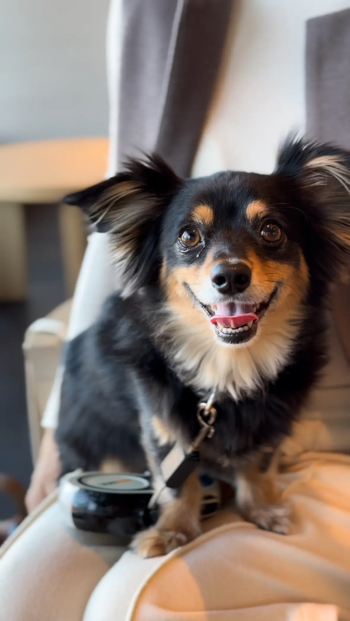 東京にあって東京にないホテル「SORANの画像_14