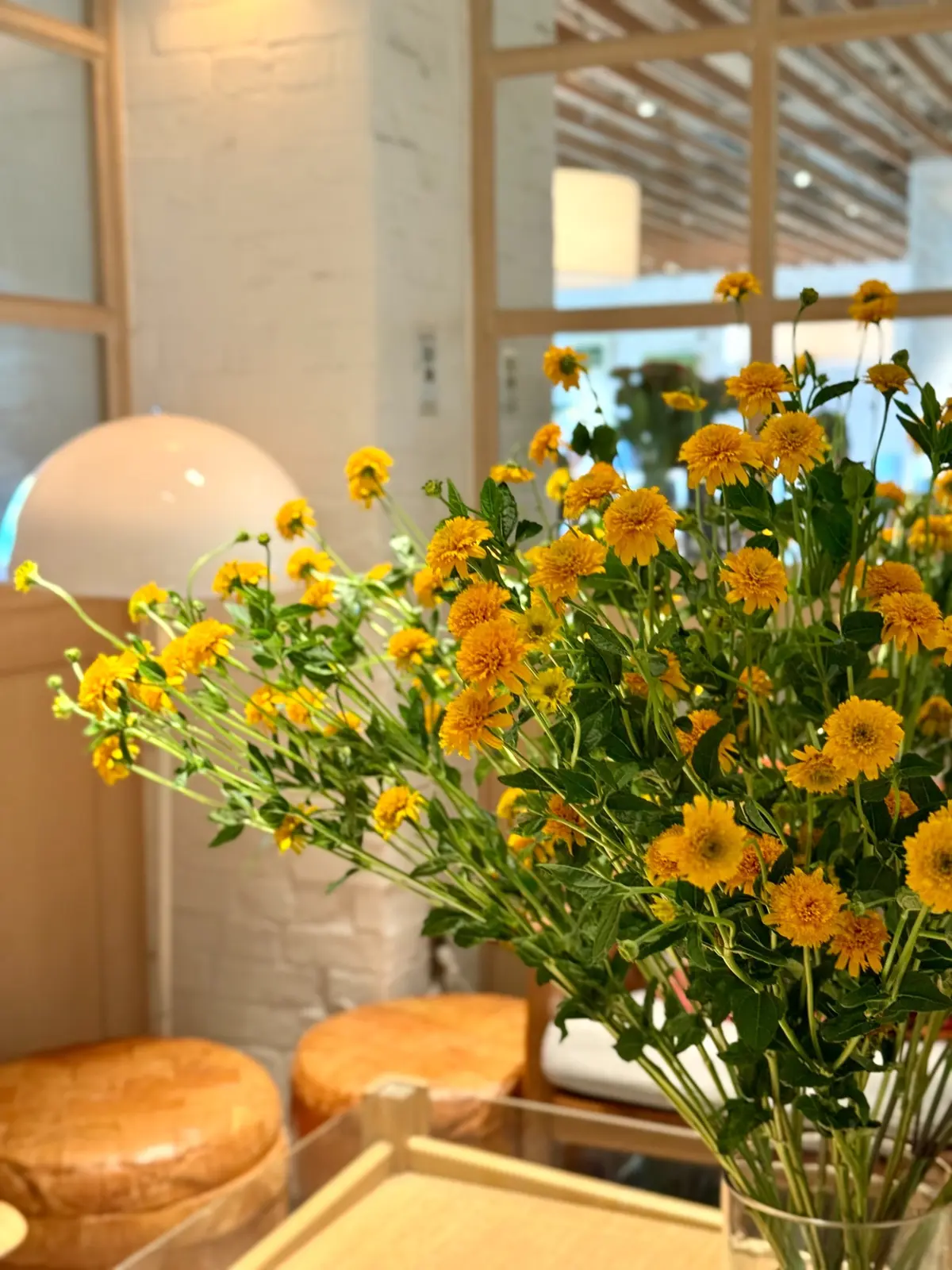 お台場　レストラン　ビルズ　店内写真　エントランス　オレンジの花