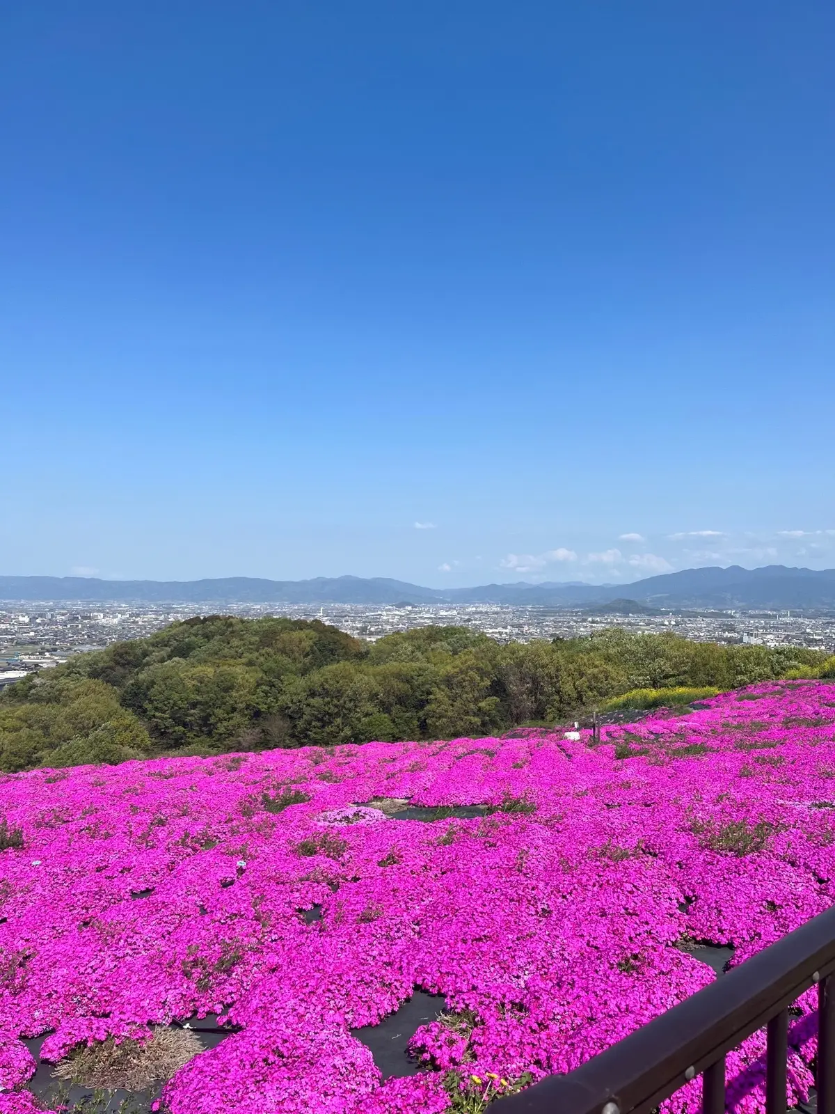 展望台広場からの絶景