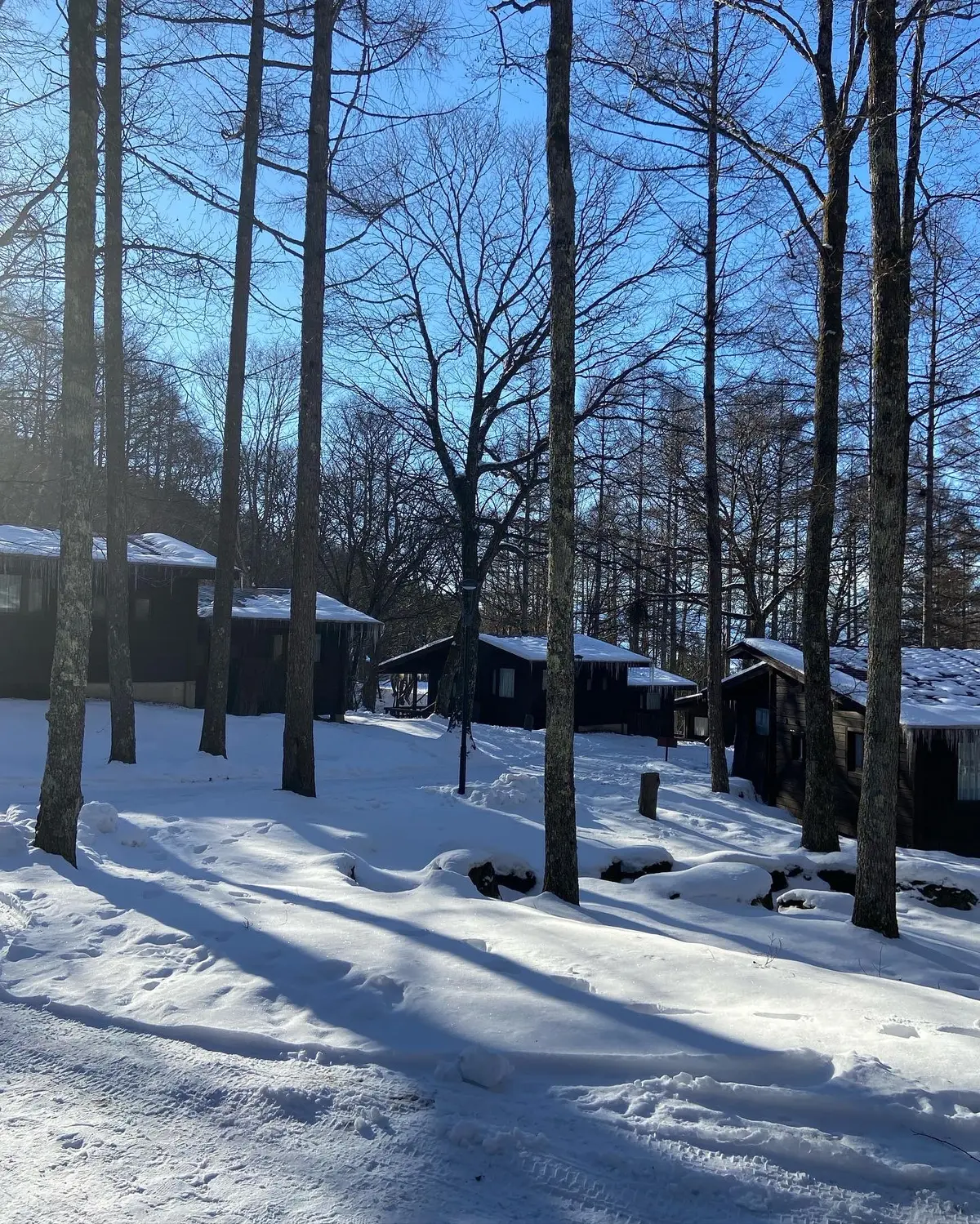 一面の銀世界への画像_1