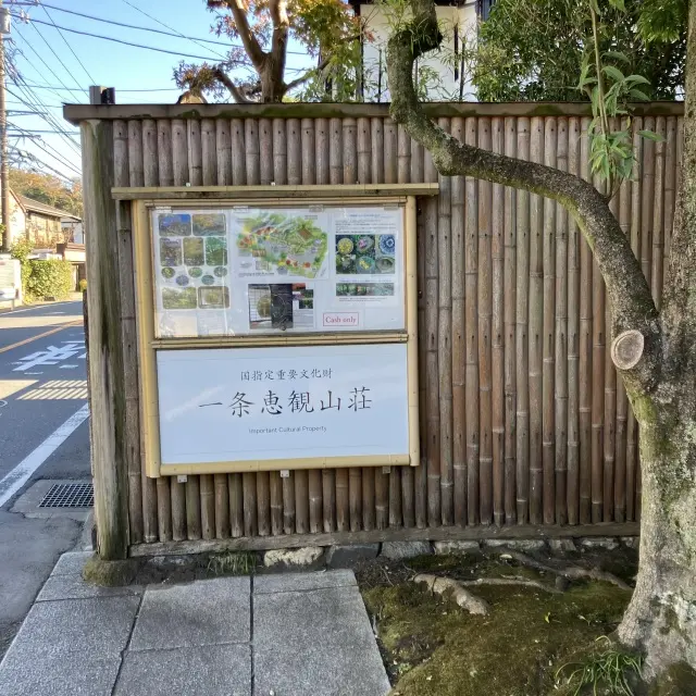 鎌倉穴場の紅葉スポットの画像_1