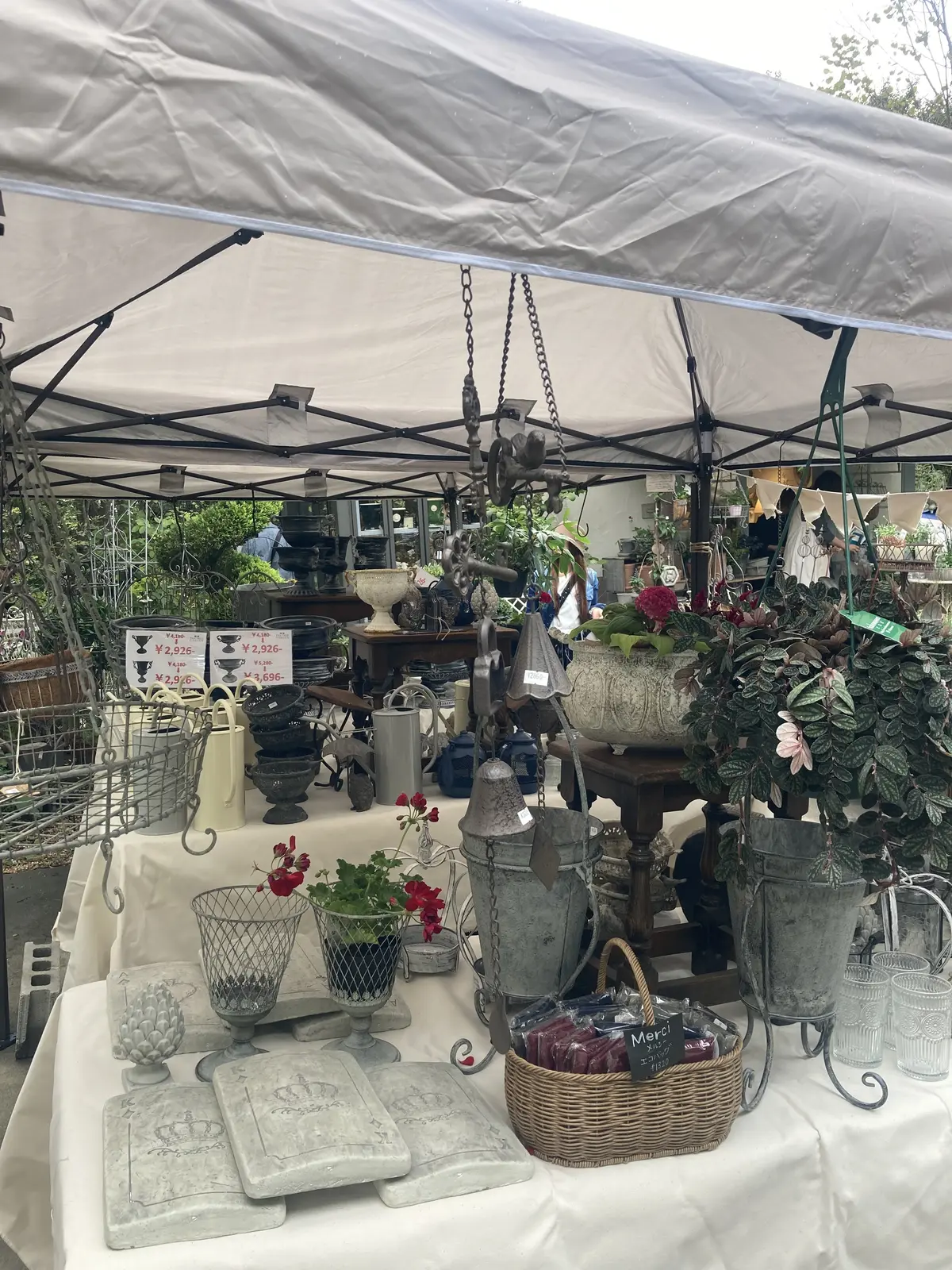 秋の気配を感じ森のお店を訪れました。🌲の画像_1