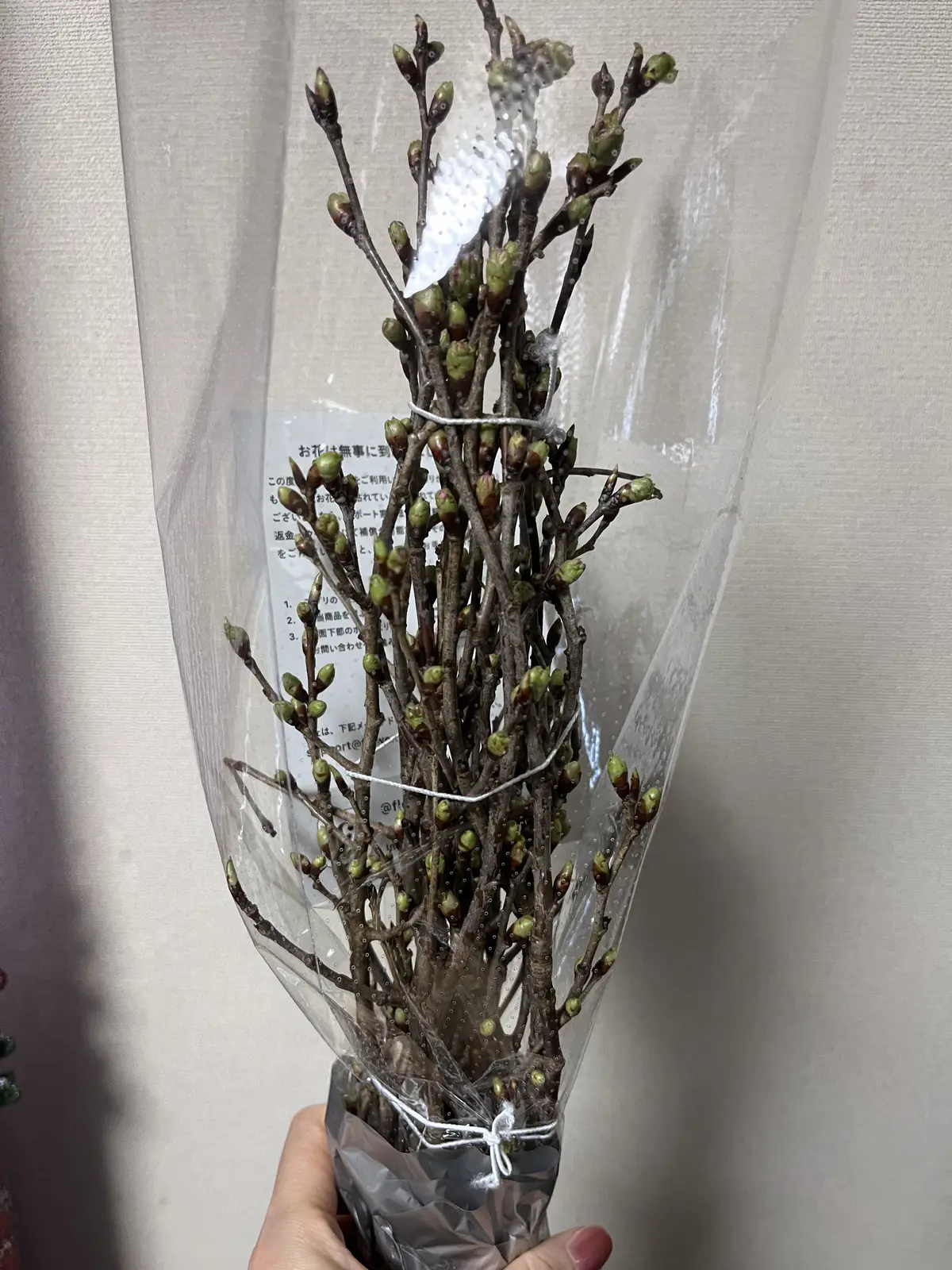 今年のお正月飾り。そして私のの〜んびりのの画像_12