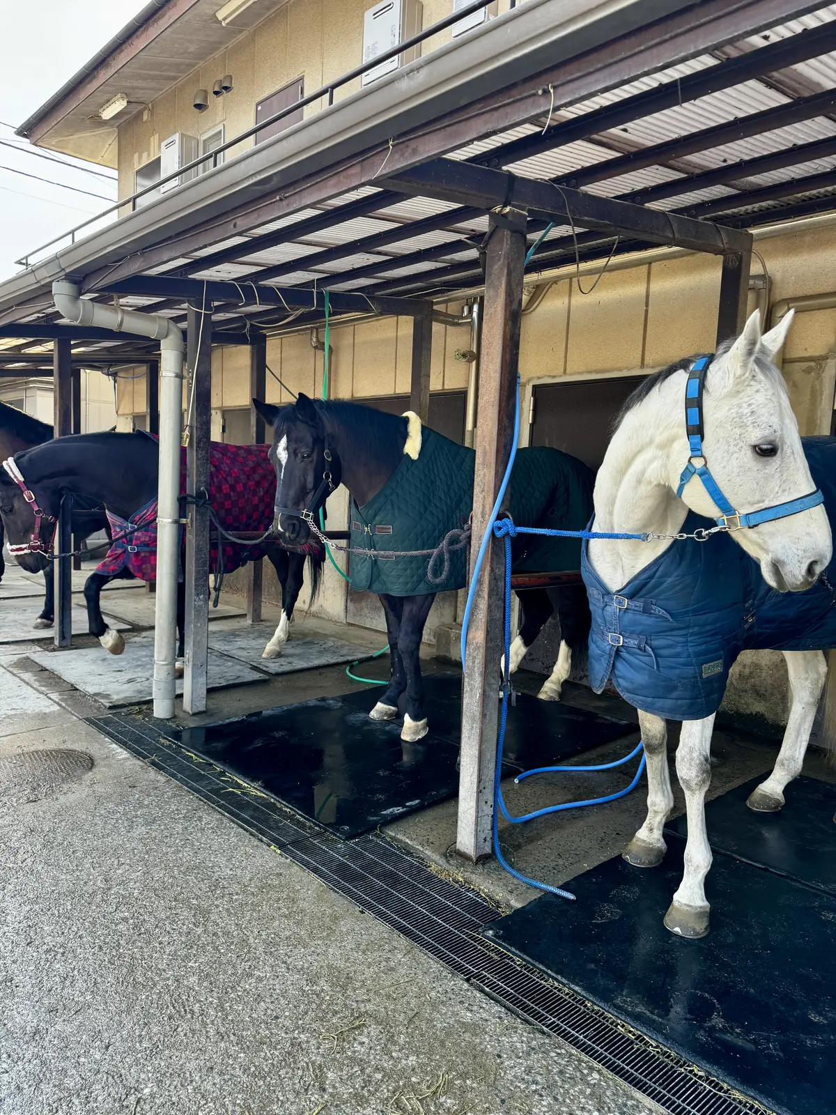 冬の「黒」エレガントカジュアルコーデ✨の画像_4