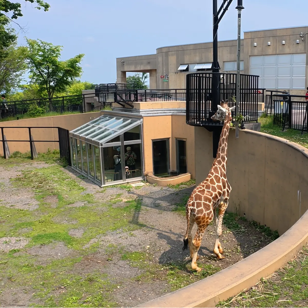 念願だった北海道旭川市「旭山動物園」行っの画像_3