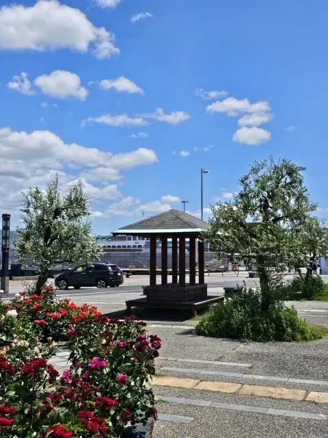 サンポート高松のバラ園の画像_5