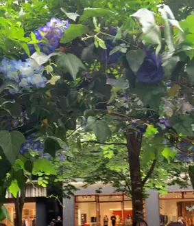 丸の内　素敵スペインランチの画像_2