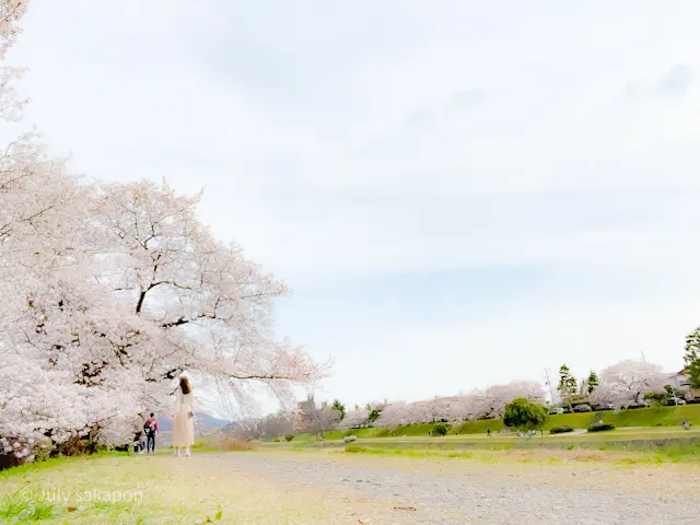 【さかぽんの冒険】前編☆もえぎ色の京都旅の画像_1