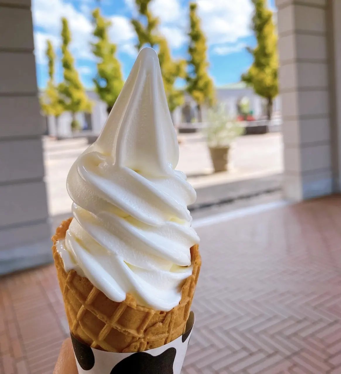 神戸フルーツフラワーパークのドッグランへの画像_6