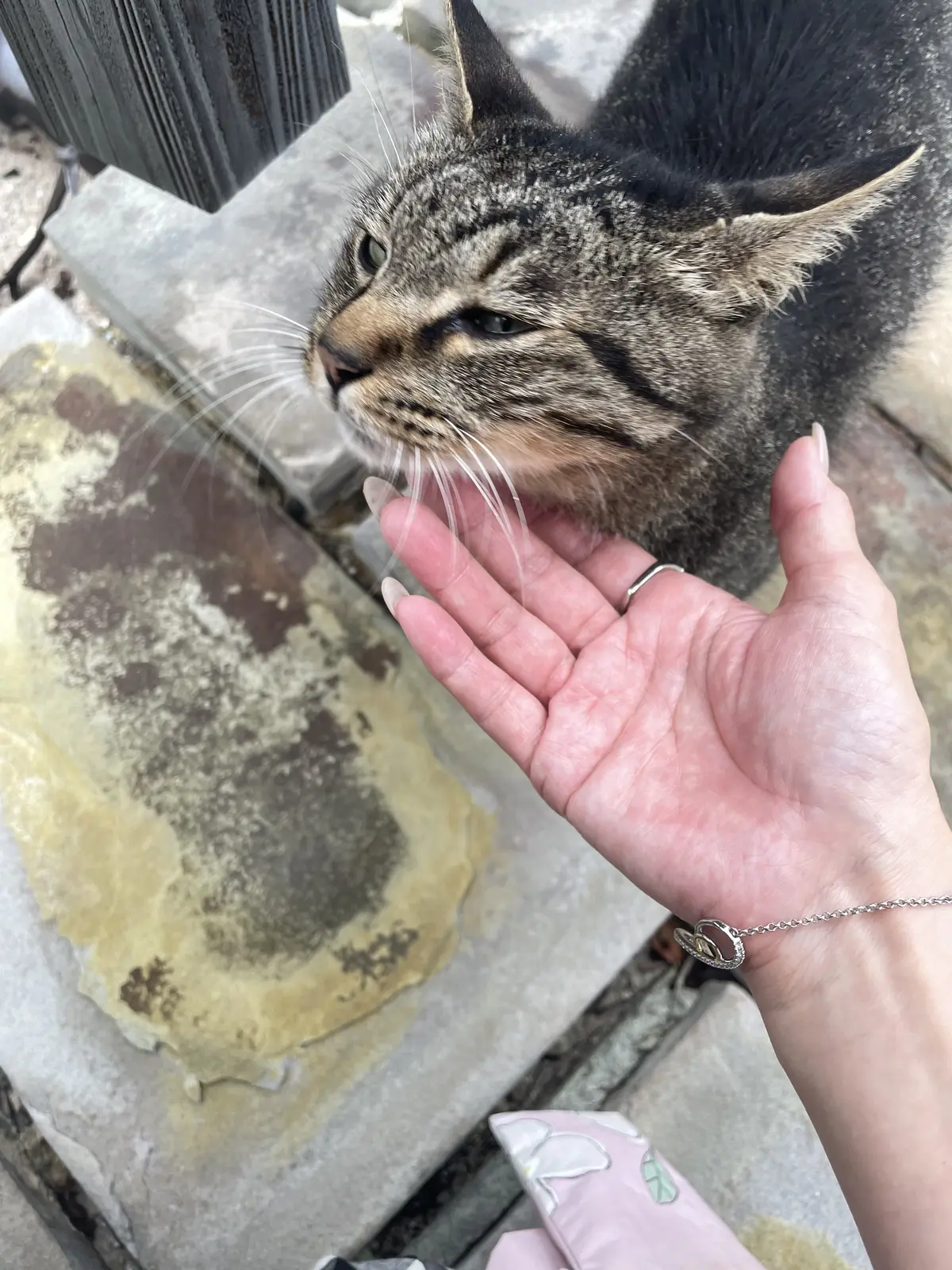初かもめに乗って長崎へ、そして雲仙地獄巡の画像_23