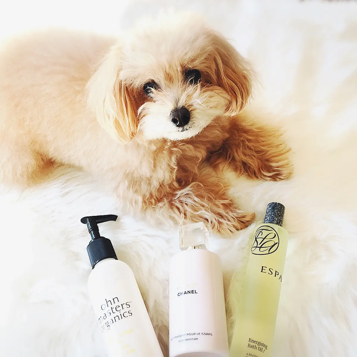 寒い季節の乾燥対策の画像_4