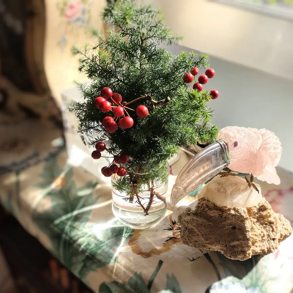 クリスマス　飾り付け　ひむろすぎ　山帰来