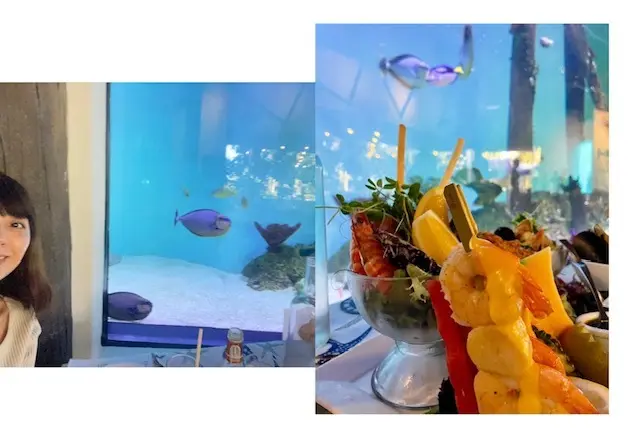 オーストラリア旅行　　キュランダへ　☆の画像_8