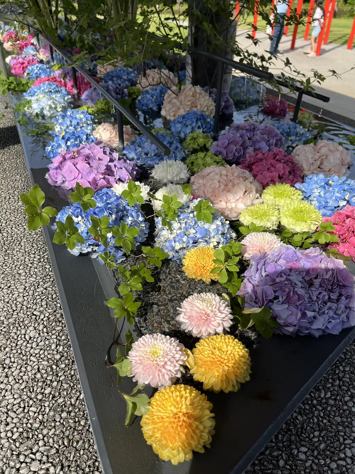 茅の輪くぐりと花手水の画像_11