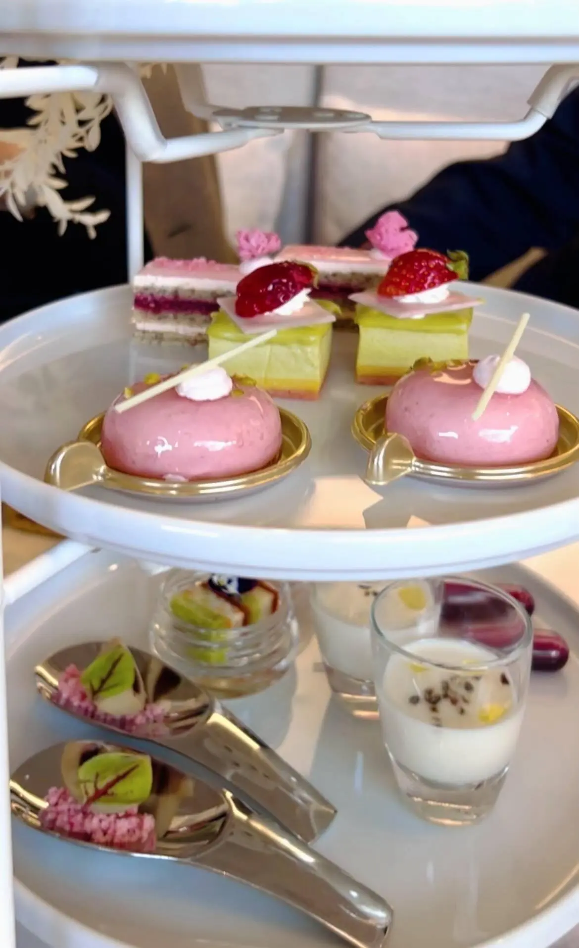 横浜✦関東のお伊勢さんで春風が舞うテラスの画像_6