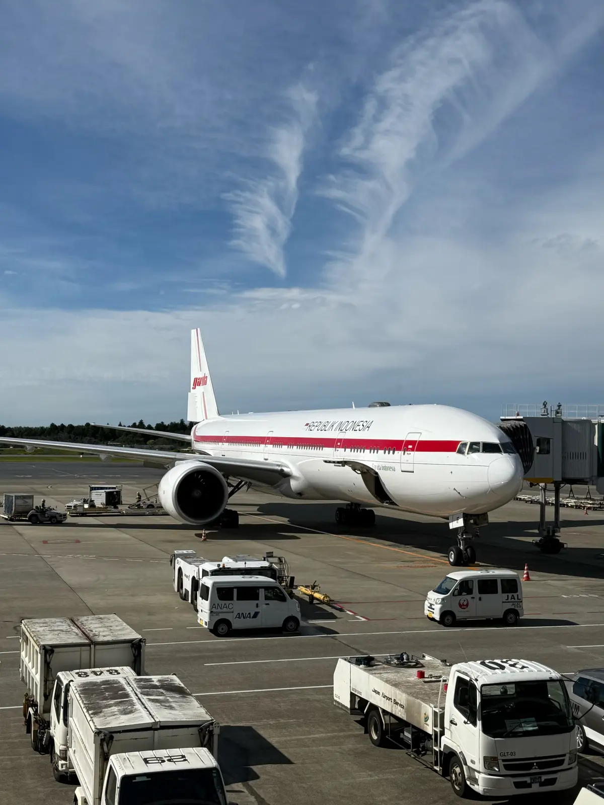 成田空港　ガルーダインドネシア航空　50代夫婦旅行　BALI 　バリ島