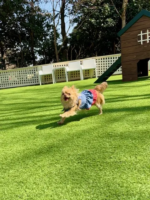 春のおでかけは、お気に入りのGUのワイドの画像_6