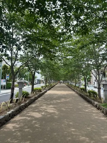 新緑眩しい鎌倉ハイキングに出掛けませんかの画像_2