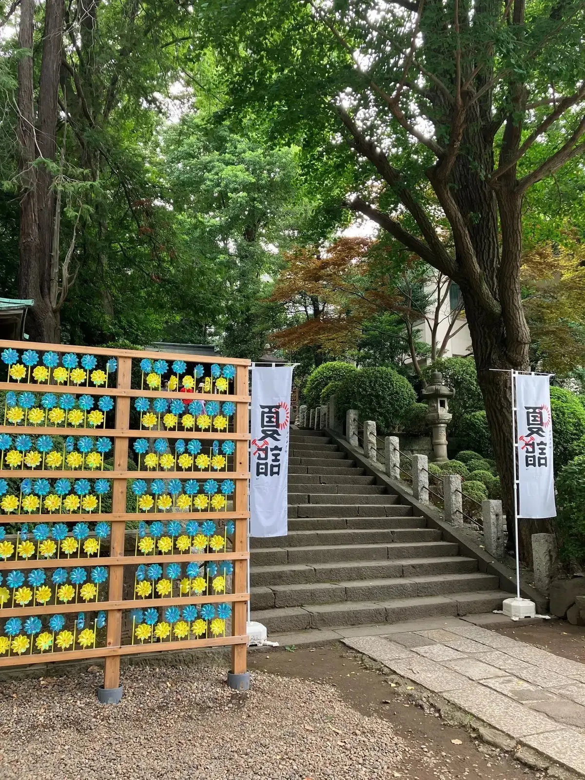 夏の御朱印さんぽ。