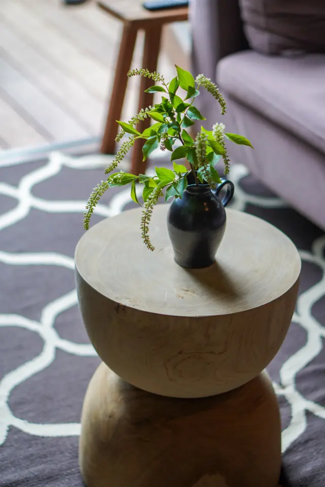 涼を呼ぶグリーンや花を部屋に♪の画像_3