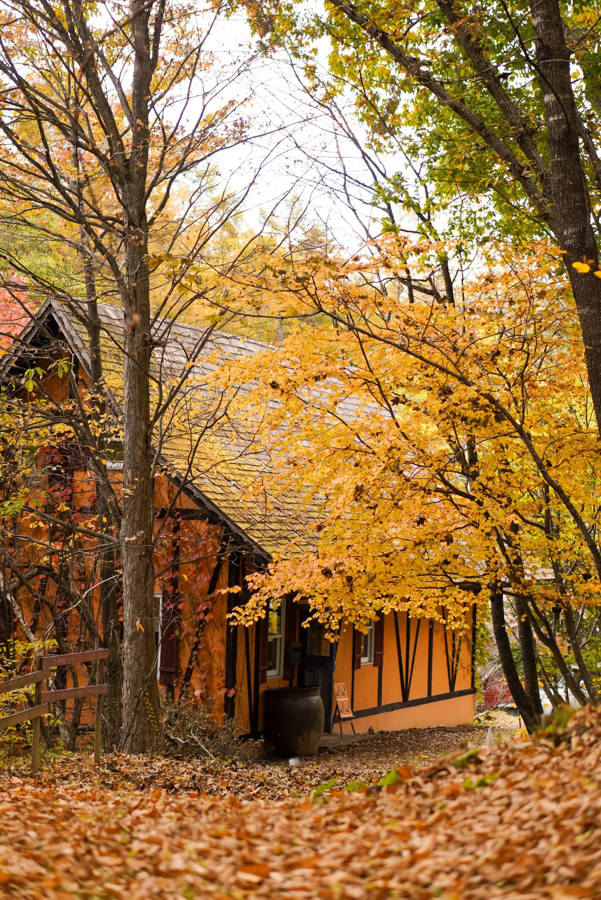 まるで絵本の中のレストラン&ベーカリー　の画像_4